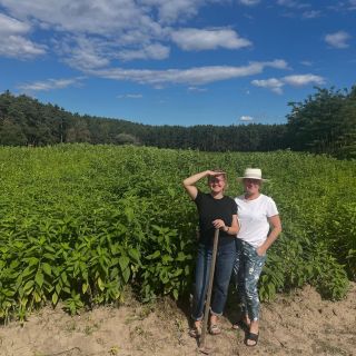 Zítra se na vás těšíme na Kulaťáku! 🌻 Přijďte si pro první letošní čerstvé hlízy topinamburu a ochutnejte naše, bezlepková...